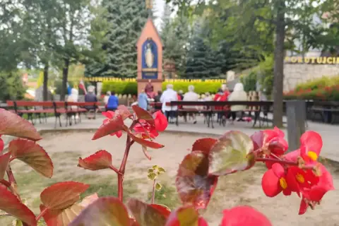 Czerwone kwiaty na pierwszym planie, w tle ludzie siedzący na ławkach przed kapliczką.