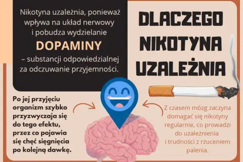 Grafika wyjaśnia, dlaczego nikotyna uzależnia, wpływając na mózg i dopaminę. Organizm szybko się przyzwyczaja, co prowadzi do trudności z rzuceniem palenia.