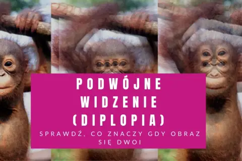 Małpka z potrójnymi oczami, jakby miała podwójne widzenie. Sprawdź, co to znaczy, gdy obraz się dwoi.