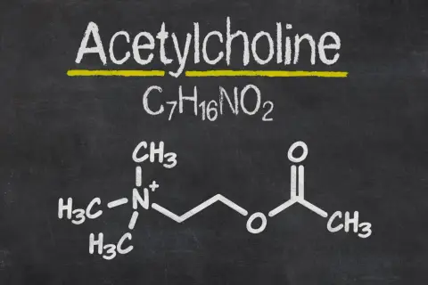 Struktura chemiczna acetylocholiny na czarnej tablicy.