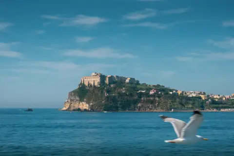 Un gabbiano vola sul mare blu davanti a Ischia. Un borgo colorato si estende sulla collina verde, dominato da un imponente castello.