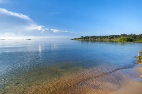 Spokojne, duże jezioro w Afryce, z piaszczystym brzegiem i bujną zielenią w oddali.