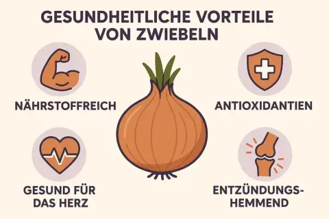 Gesundheitliche Vorteile von Zwiebeln: Nährstoffreich, Antioxidantien, gut fürs Herz, entzündungshemmend. Zwiebeln sind gesund!