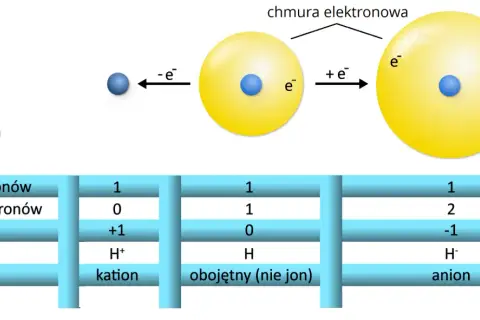 Schemat przedstawia budowę atomu wodoru i jego jonów. Pokazuje, jak liczba elektronów wpływa na ładunek i klasyfikację, tworząc kation, anion lub obojętny atom.