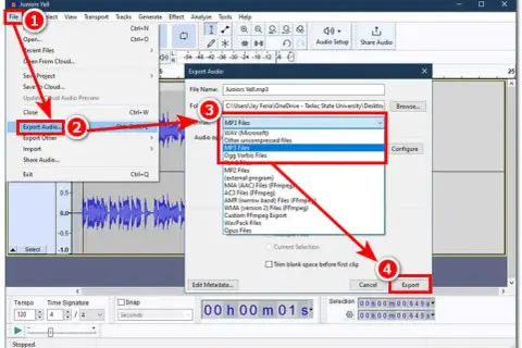 Jak skrócić muzykę? Najlepsze narzędzia i metody edycji audio