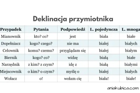 Tabela deklinacji przymiotnika z przypadkami, pytaniami, podpowiedziami i formami liczby pojedynczej i mnogiej.