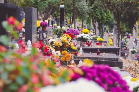 Cmentarz z nagrobkami ozdobionymi kwiatami i zniczami. Szukasz informacji, jak znaleźć gdzie jest pochowana osoba?