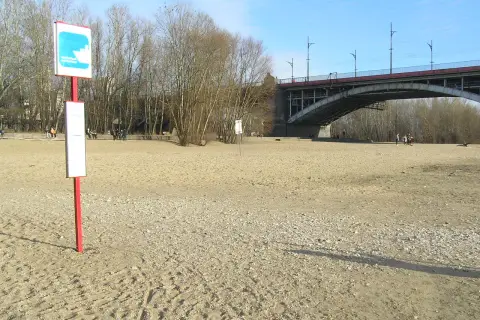 Plaża nad Wisłą, znak wodny, most i drzewa. Idealne miejsce na poniatówkę.