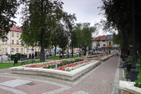 Urokliwe miasto w kotlinie sandomierskiej nad Sanem, z kwitnącymi rabatami kwiatów i brukowanym deptakiem.