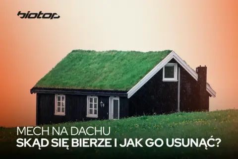 Czarny domek z zielonym dachem porośniętym trawą. Tekst pyta o mech na dachu i jak go usunąć, sugerując rozwiązanie antymech.