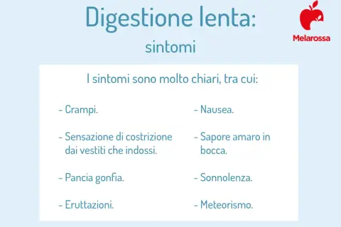 Sintomi di digestione lenta: crampi, nausea, pancia gonfia, eruttazioni, sensazione di costrizione, sapore amaro, sonnolenza e meteorismo.