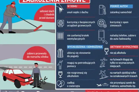 Zimowe zagrożenia: odśnieżaj, dbaj o ogrzewanie, nie zasłaniaj wentylacji. Czy osy przeżywają zimę? Zadbaj o zwierzęta i siebie.