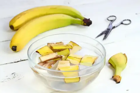 Kawałki skórek bananów w wodzie, przygotowywane jako nawóz z banana. Obok leżą banany i nożyczki.