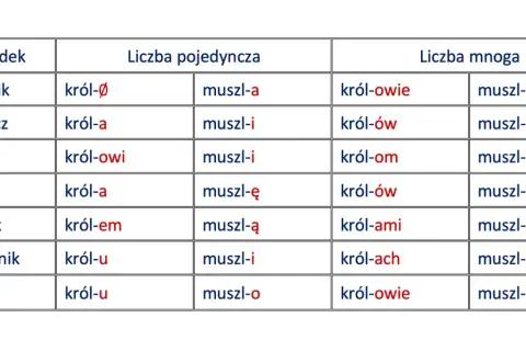 Tabela ukazuje deklinację rzeczowników "król" i "muszla" w liczbie pojedynczej i mnogiej, prezentując odmianę przez przypadki.