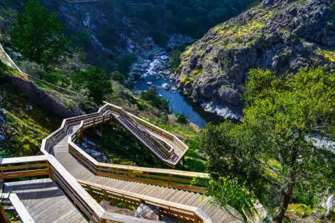 Pasarela de madera serpentea por un barranco verde hasta el río Paiva. El puente Arouca ofrece vistas espectaculares.