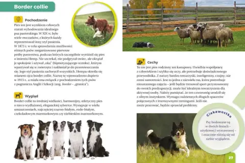 Atlas psów dla dzieci: Książki i aplikacje wybierz najlepszy!