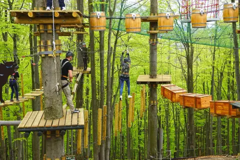 Park linowy w lesie, pełen drewnianych platform i przeszkód. Wśród zieleni widać ludzi pokonujących trasy, szukających wrażeń i **równica atrakcje**.