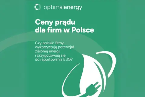 Ceny prądu dla firm w Polsce. Czy polskie firmy wykorzystują potencjał zielonej energii i przygotowują się do raportowania ESG?