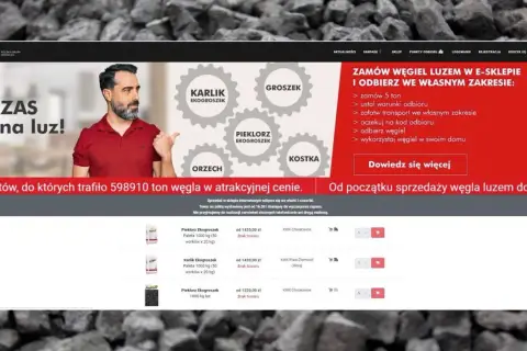 Strona PGG oferuje zakup węgla luzem. Zobacz ceny i rodzaje węgla, takie jak ekogroszek.