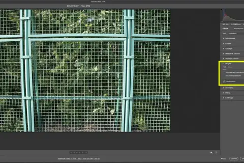 Panel "Optyka" w programie do edycji zdjęć, z zaznaczoną opcją "Użyj korekcji obiektywu", sugeruje poprawę **dystorsji obiektywu** na zdjęciu zielonej siatki.