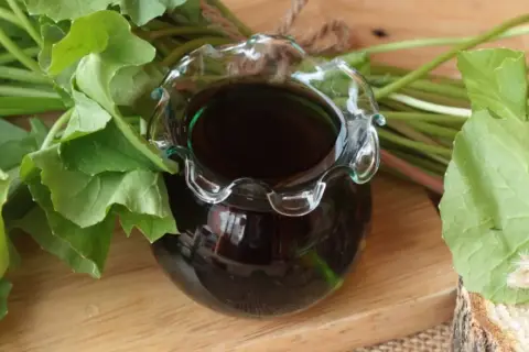 Ciemny płyn w ozdobnym naczyniu, otoczony zielonymi liśćmi. Może to być składnik do domowego **przepis na maggi w płynie**.