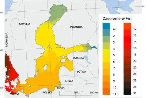 Mapa zasolenia Bałtyku, morza należącego do Oceanu Atlantyckiego. Kolory wskazują zasolenie od 0-1‰ do 31‰.