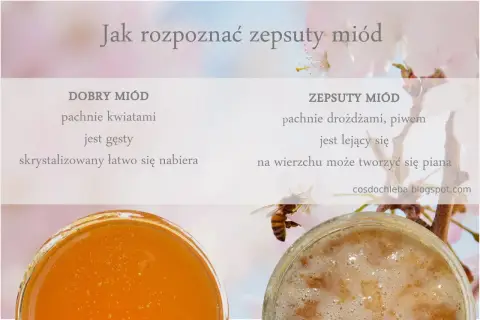 Jak rozpoznać zepsuty miód: dobry pachnie kwiatami, jest gęsty; zepsuty drożdżami, lejący się, z pianą.