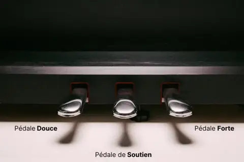 Les pédales piano : douce, de soutien et forte. Trois leviers chromés pour moduler le son.