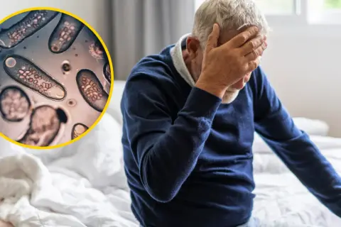 Toksoplazmoza a psychika: Czy pasożyt zmienia Twój umysł?