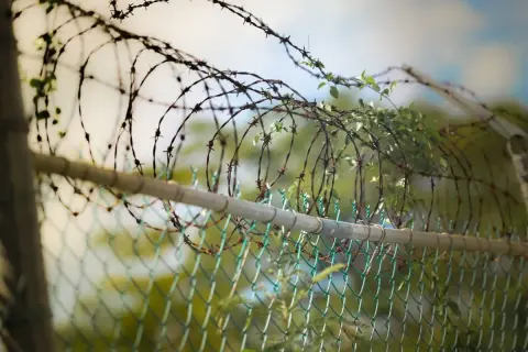 Drut kolczasty na płocie, porośnięty zielenią. Czy drut kolczasty jest legalny? Pytanie to często pojawia się w kontekście zabezpieczeń.