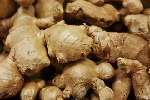 Gros plan sur des rhizomes de galanga, évoquant ses nombreux bienfaits pour la santé.