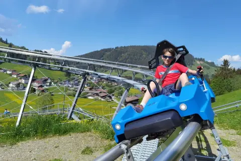 Junge auf einer Sommerrodelbahn in Bayern, genießt die Fahrt mit Blick auf grüne Berge und gelbe Blumen.