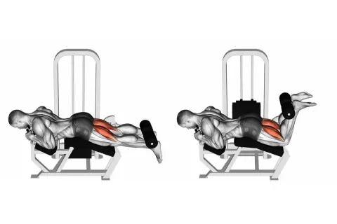 Esercizio per il bicipite femorale: un uomo esegue un curl per le gambe sdraiato su una macchina, piegando le ginocchia per contrarre i muscoli posteriori della coscia.