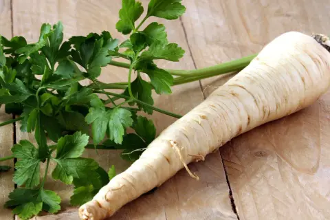 Pietruszka nie lubi konkurencji. Obok korzenia pietruszki leży pęczek zielonej natki.