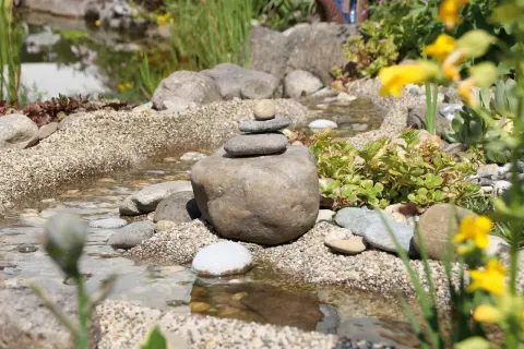 Un aménagement ruisseau naturel avec des galets empilés, des plantes succulentes et des fleurs jaunes. L'eau reflète le ciel.