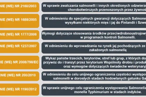 Salmonelloza: 5 filarów ochrony. Jak skutecznie zapobiegać?
