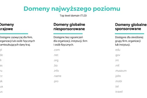 Domena .org: Dla kogo jest idealna i czy warto ją wybrać?