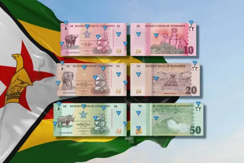 Zimbabwe waluta: banknoty 10, 20 i 50 ZIG z wizerunkami zwierząt i budynków. Flaga Zimbabwe w tle.