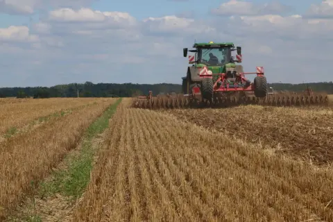 Zwalczanie chwastów w zbożu: Uniknij strat, zwiększ zysk!