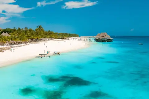 Rajska plaża na Zanzibarze z białym piaskiem, palmami i turkusową wodą.