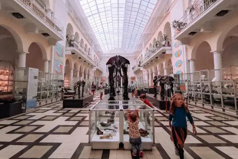 Wielka sala z szkieletami dinozaurów, idealne muzeum dla dzieci w Warszawie. Dzieci z zaciekawieniem oglądają eksponaty.