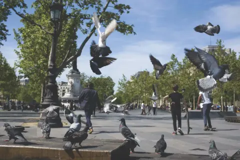 Gołębie latają nad placem, gdzie młodzi ludzie jeżdżą na deskorolkach. Scena przypomina paryskie popołudnie, jak z książki o przygodach **madeleine**.