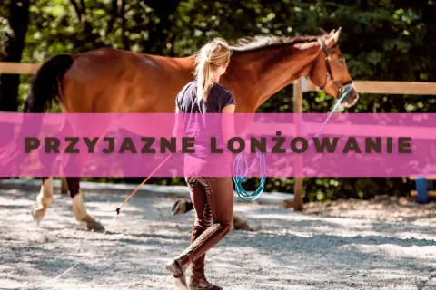 Jeździectwo Lublin: wyjątkowe możliwości edukacyjne i sportowe