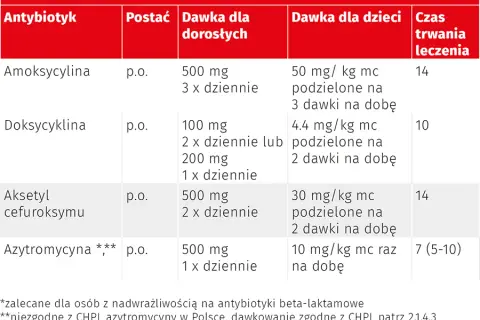 Jakie leki na boreliozę: Skuteczne antybiotyki i ich dawkowanie