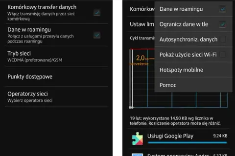 Jak włączyć roaming w Play i uniknąć wysokich kosztów za granicą