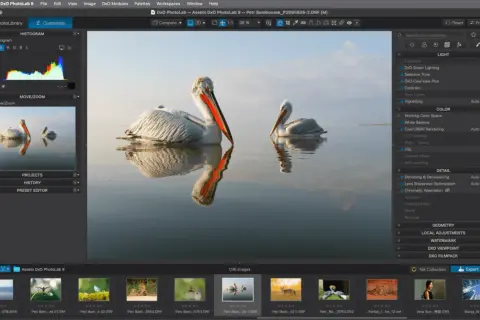 Logiciel de retouche photo Mac gratuit : deux pélicans se reflétant dans l'eau, avec les outils de DxO PhotoLab 9 visibles.