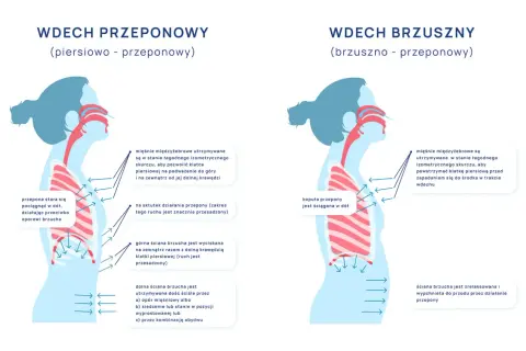 Ilustracja pokazuje dwa rodzaje wdechu: piersiowo-przeponowy i brzuszno-przeponowy. Wdech przeponowy angażuje przeponę, która obniża się, rozszerzając klatkę piersiową.