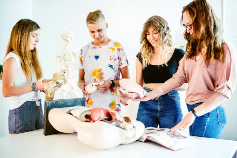Fizjoterapia co na maturze: kluczowe przedmioty, które musisz znać