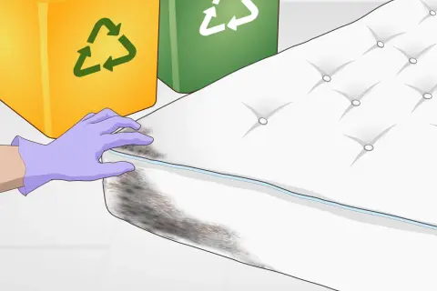 A gloved hand inspects a moldy spot on a mattress. Learn how to dry a wet spot on a mattress to prevent mold.