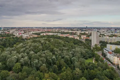 Luftaufnahme des Volksparks Friedrichshain mit dichtem Baumbestand und Berliner Skyline im Hintergrund.